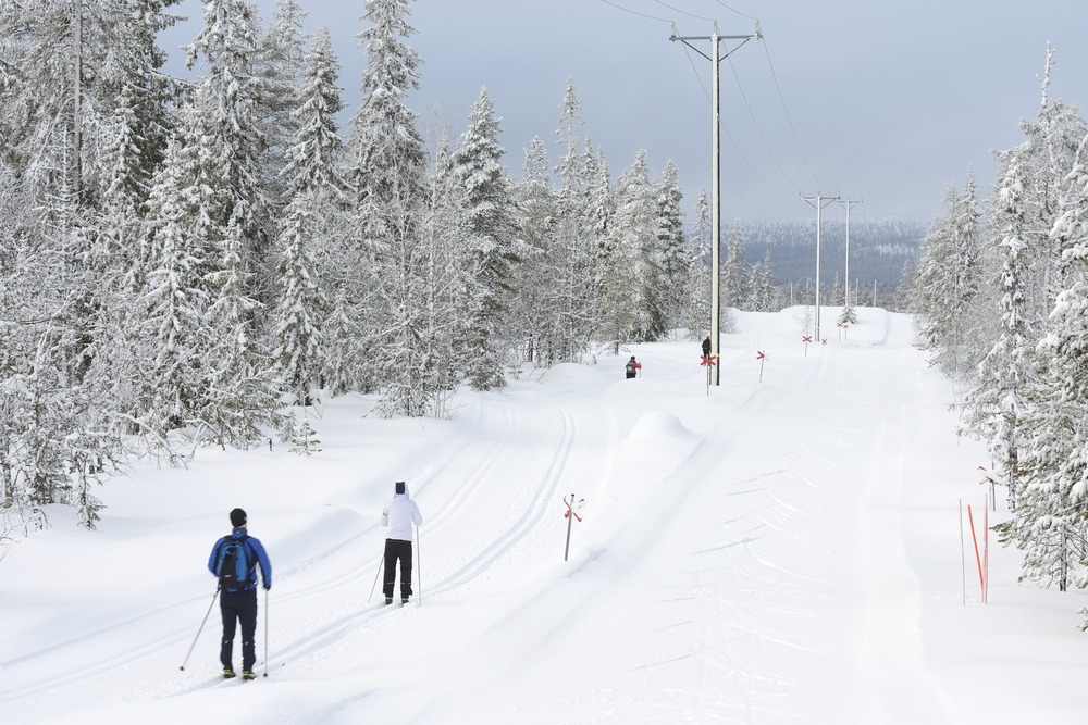 A scenic view of the well-groomed cross-country trails in Sälen, Sweden, inviting enthusiasts to explore the winter wonderland.